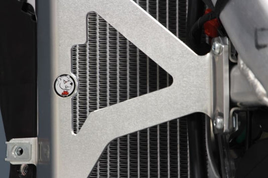 Protetor De Radiador Axp Honda Crf450r (2021-2024)