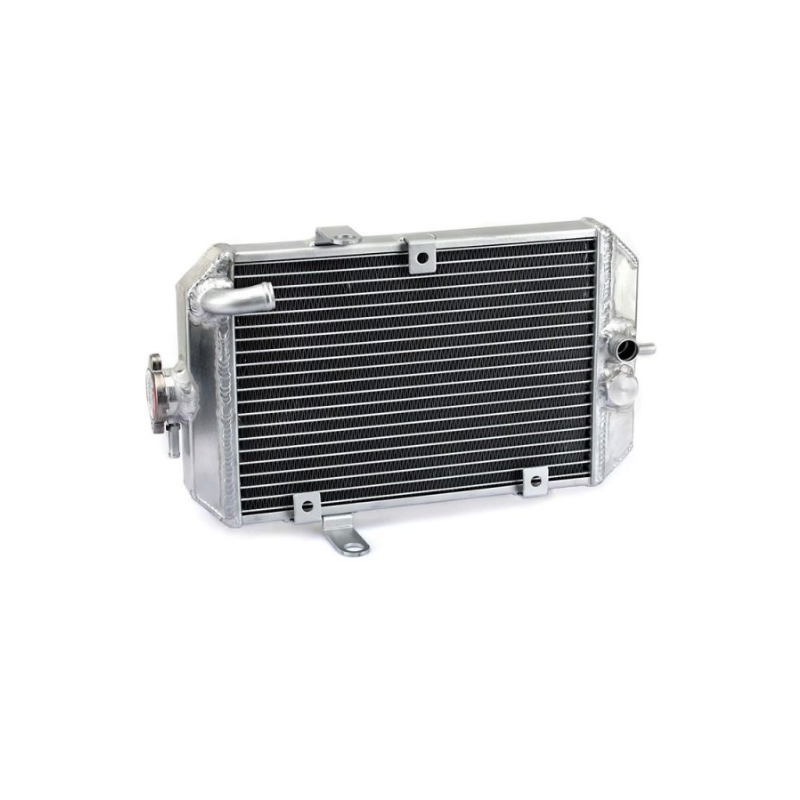 RADIADOR YAMAHA RAPTOR 660 01-05