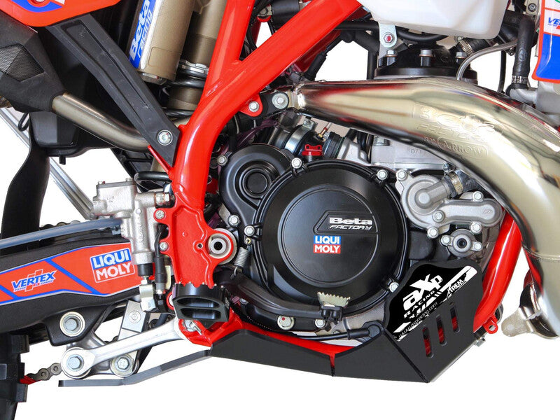 PROTEÇÃO DE CARTER AXP XTREM BETA RR 250/300 2025
