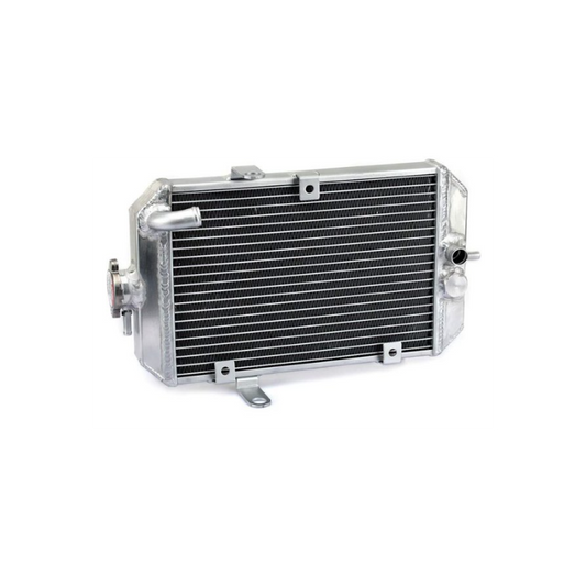 RADIADOR YAMAHA RAPTOR 660 01-05